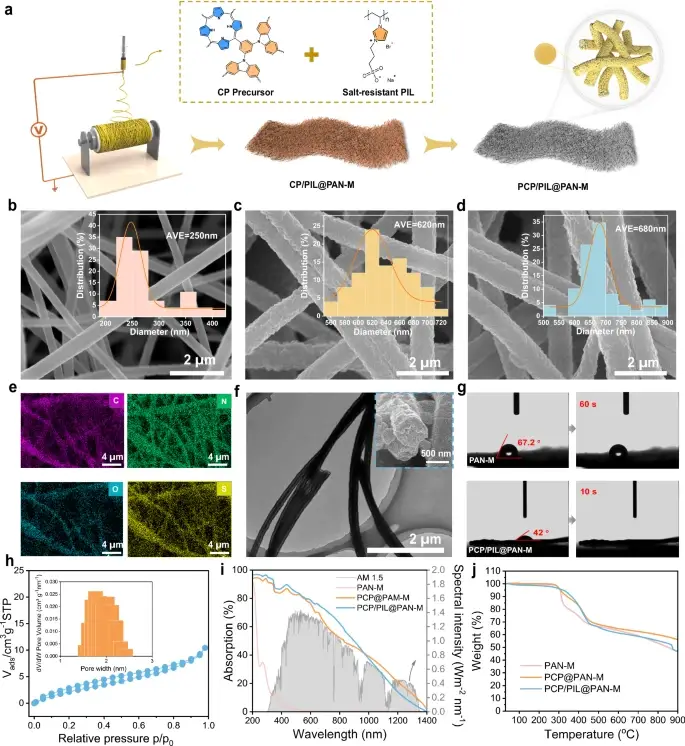 41467_2025_61244_Fig3_HTML