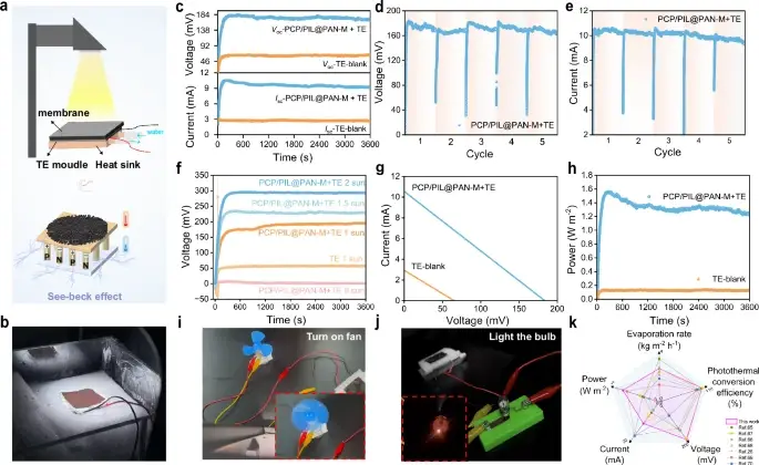 41467_2025_61244_Fig8_HTML