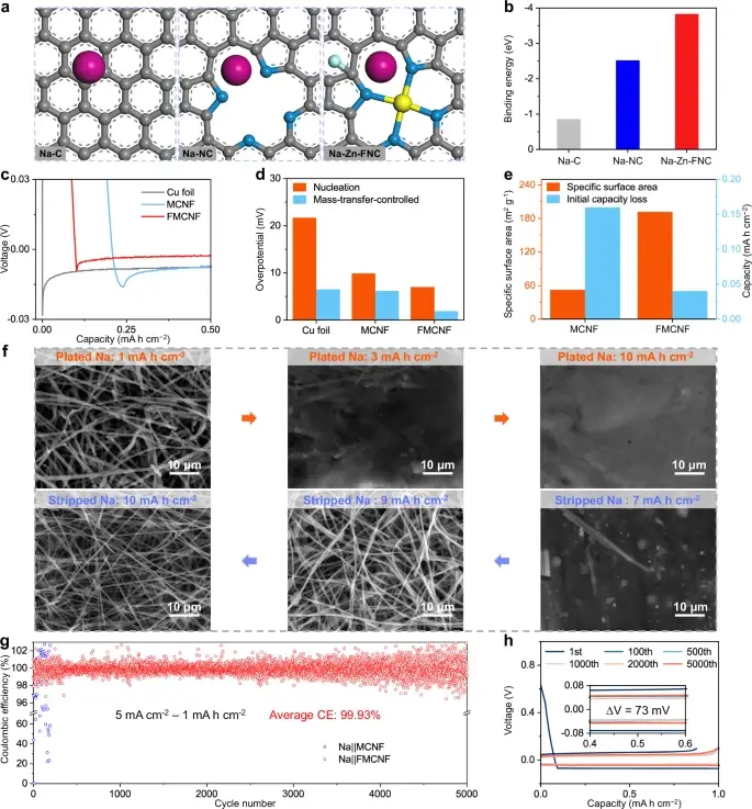 41467_2025_60168_Fig3_HTML