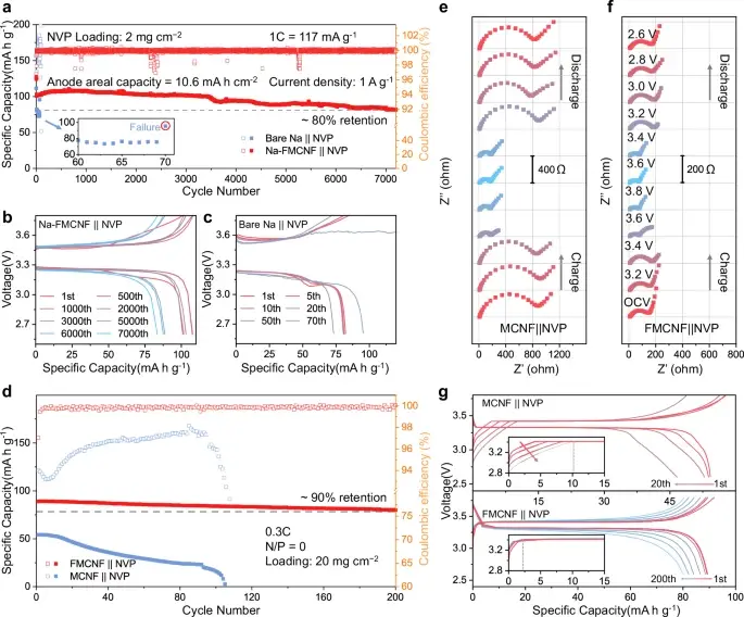 41467_2025_60168_Fig6_HTML