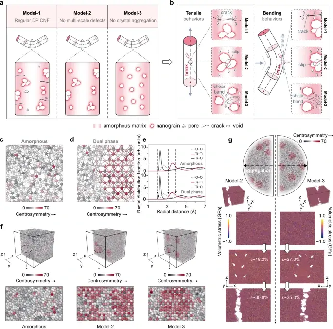 图1：双相（DP）陶瓷纳米纤维（CNF）的概念设计