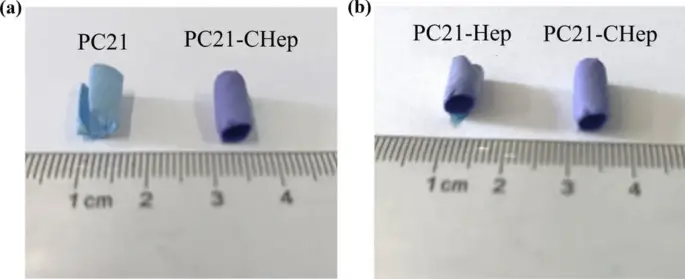 图 4：（a）PC21 和 PC21-CHep