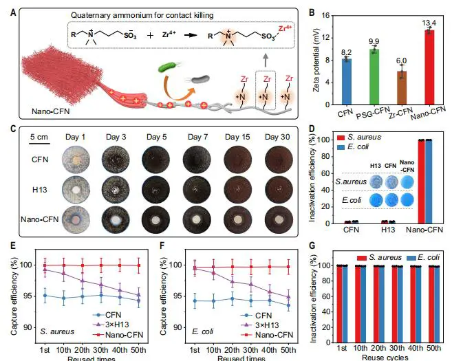 纳米原纤化胶原纤维网络的抗微生物及生物气溶胶清除能力