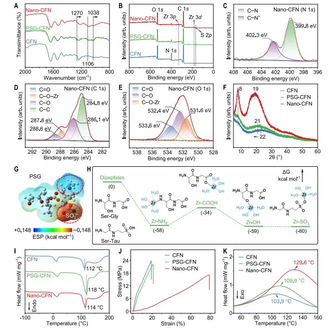 纳米原纤化胶原纤维网络的化学与物理特性分析