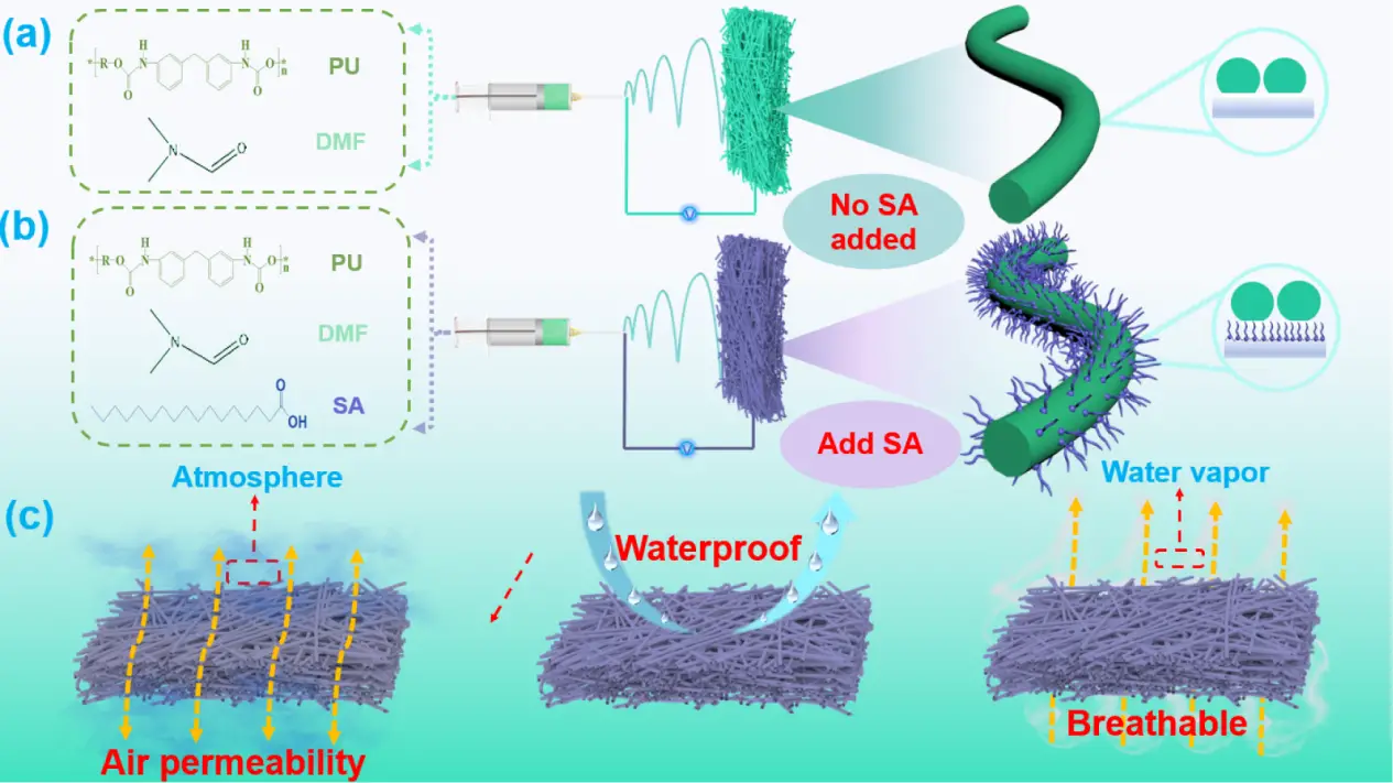 图1 所制备PUSA纳米纤维膜防水性、透湿性和透气性能示意图。