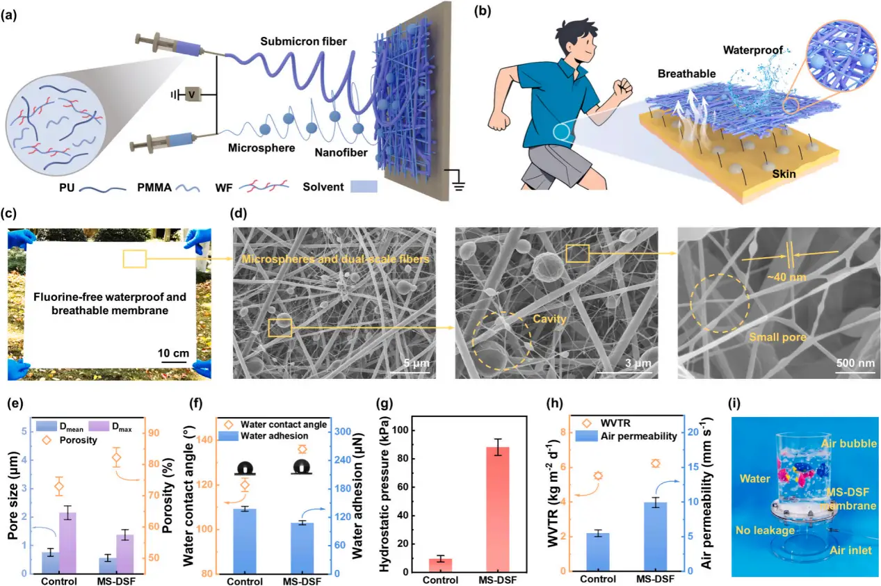 图1 含有微球(MS)和双尺度纤维(DSF)的无氟膜制备示意图
