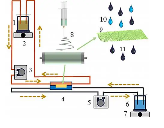 图4：苯酚分离机制图