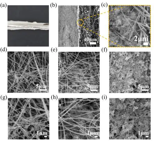图6： 莫来石复合膜实物及 SEM 图