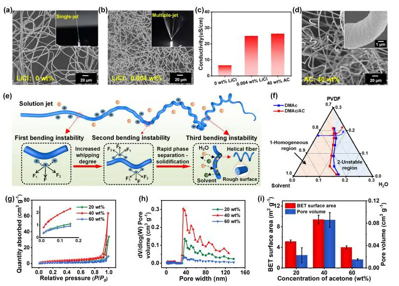 图 2：螺旋纤维的形成调控
