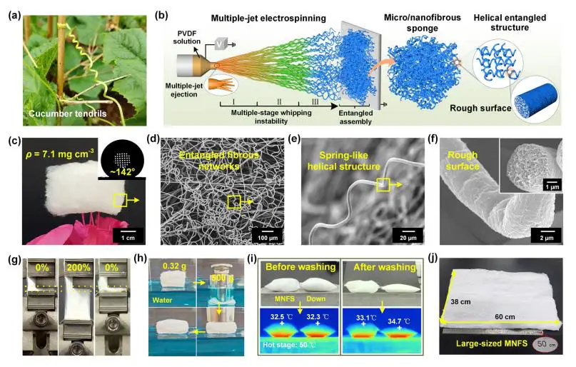 图 1：MNFS 的设计策略、结构与性能