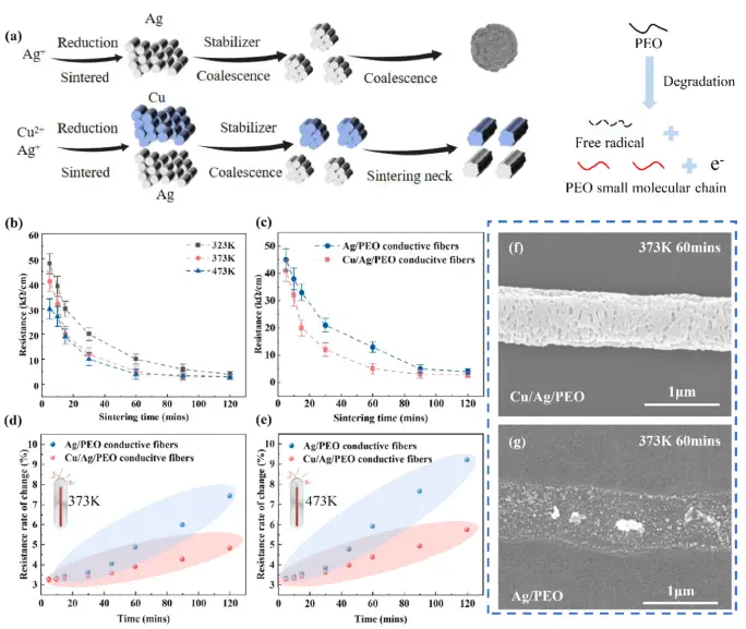 图3 铜银氨导电纤维烧结成型机理图与电镜图