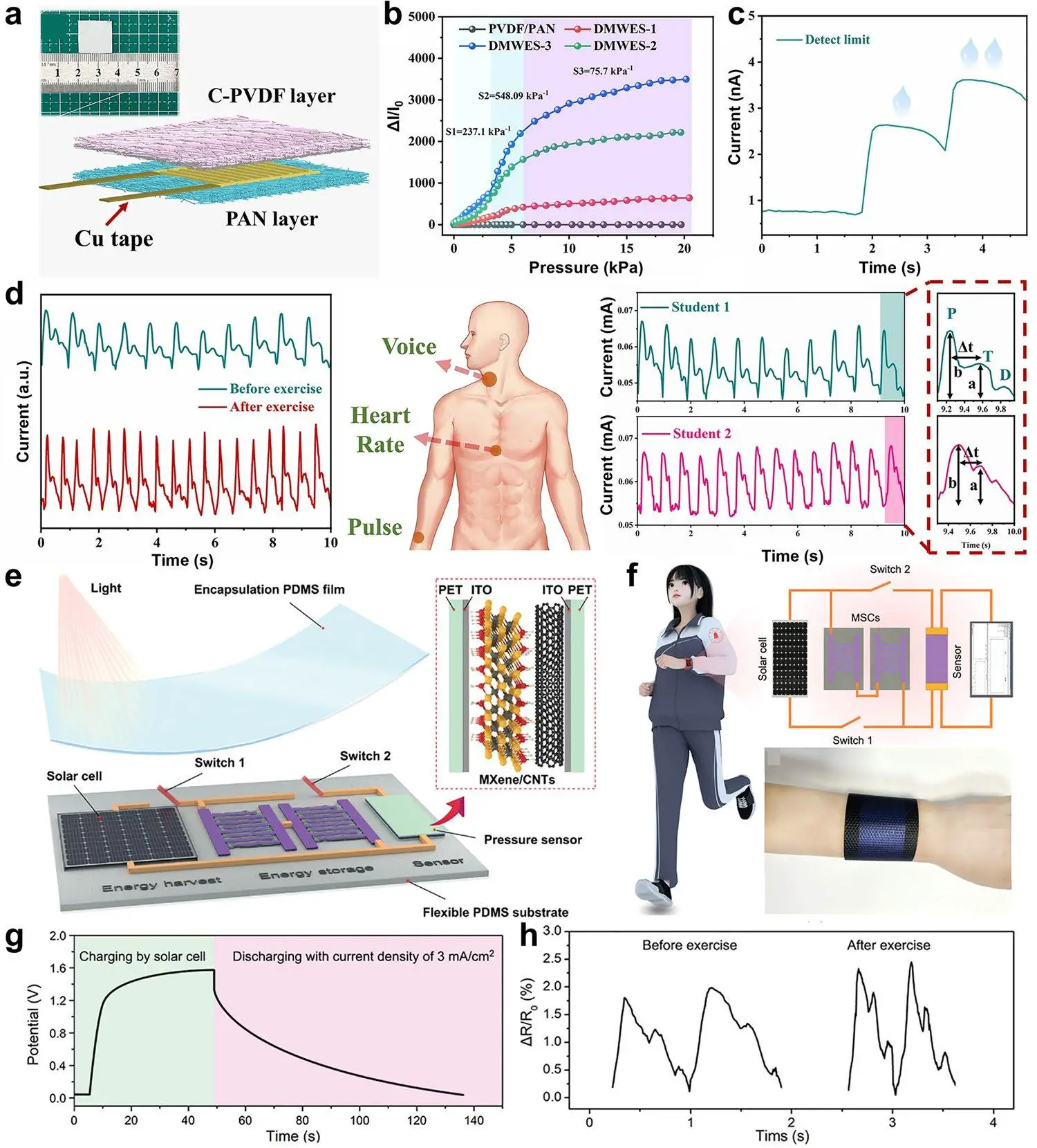 图11:自供电电纺纳米纤维传感器在生理信号监测中的应用