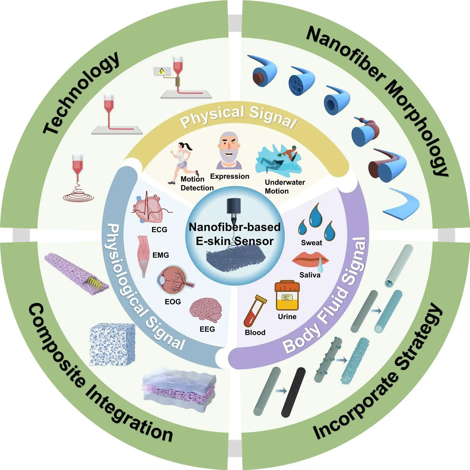 图2:本综述所讨论内容的示意图