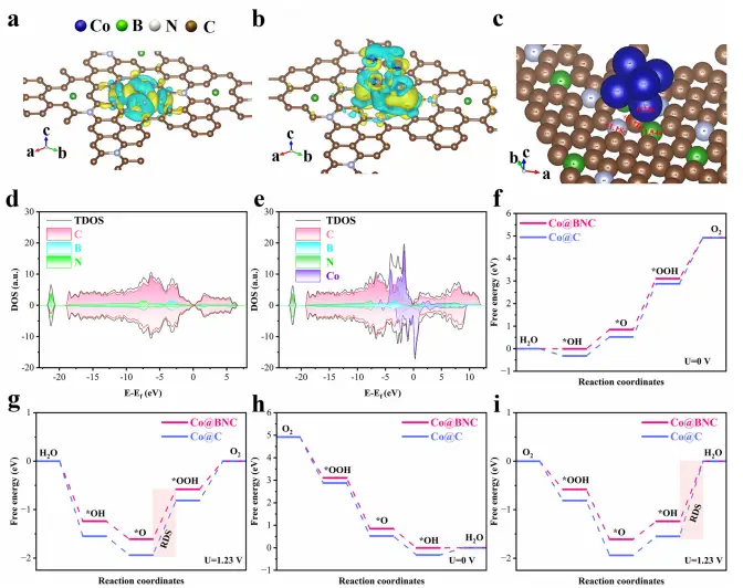 图6：电催化活性评估png