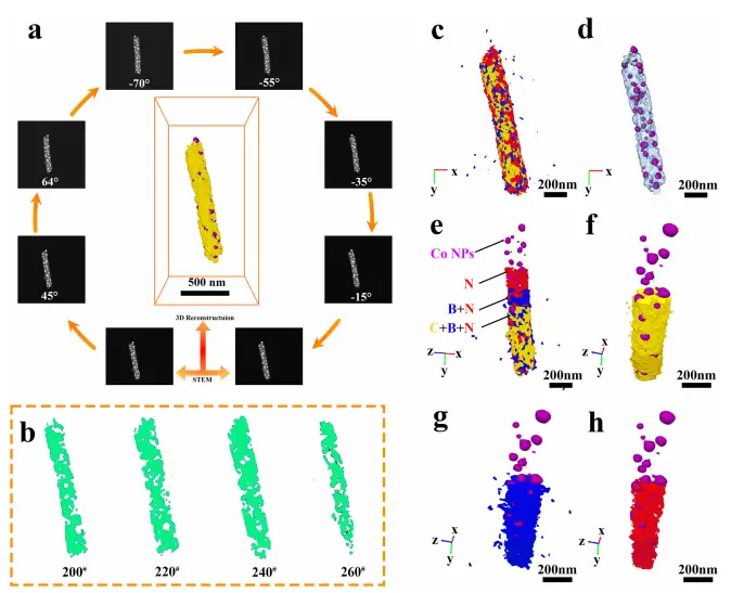图3：微观成分分布