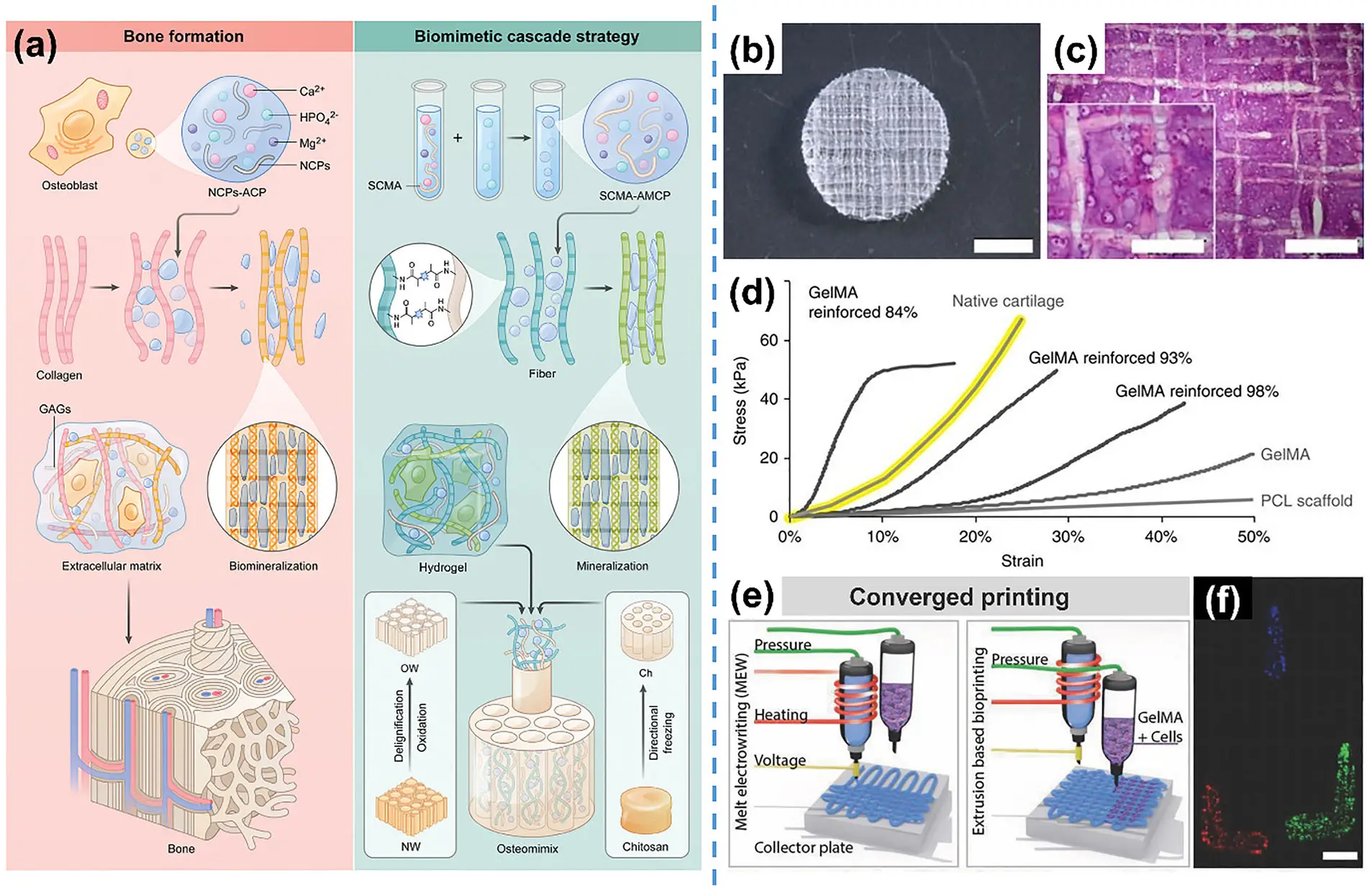 图12：双材料打印的复合增强支架