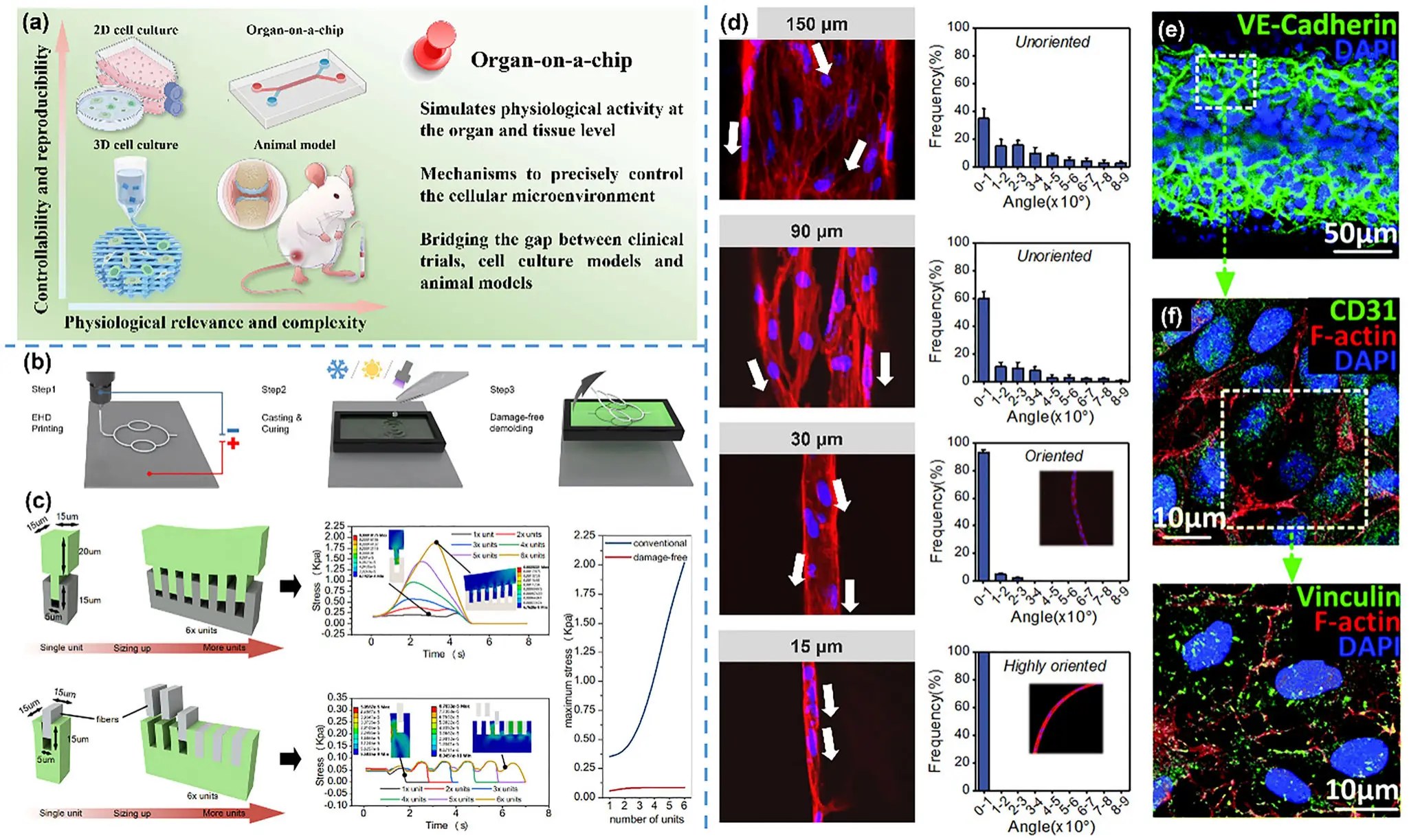 图16：EHD直写极限结构单元示例