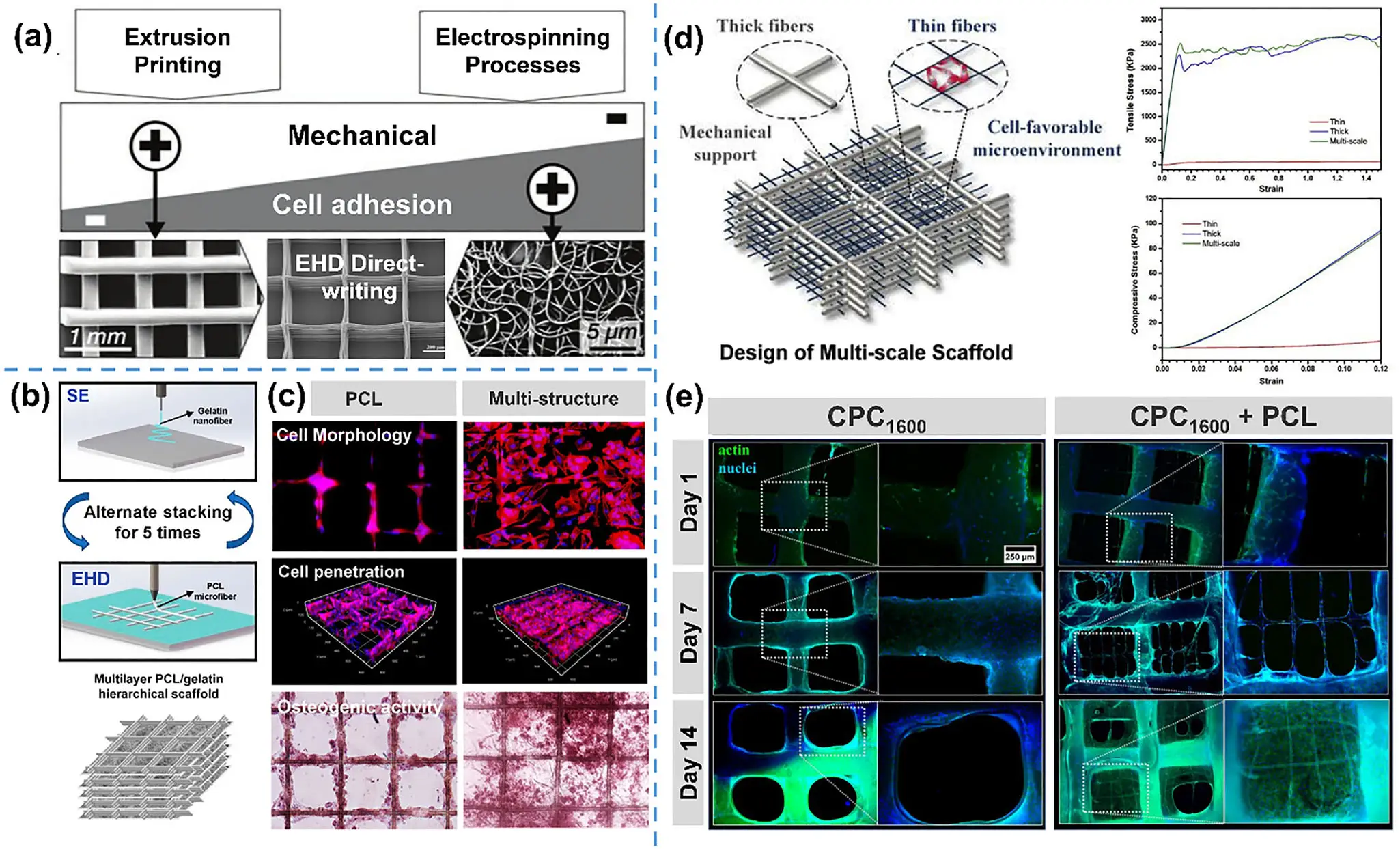 图11：同步共打印的多材料协同结构