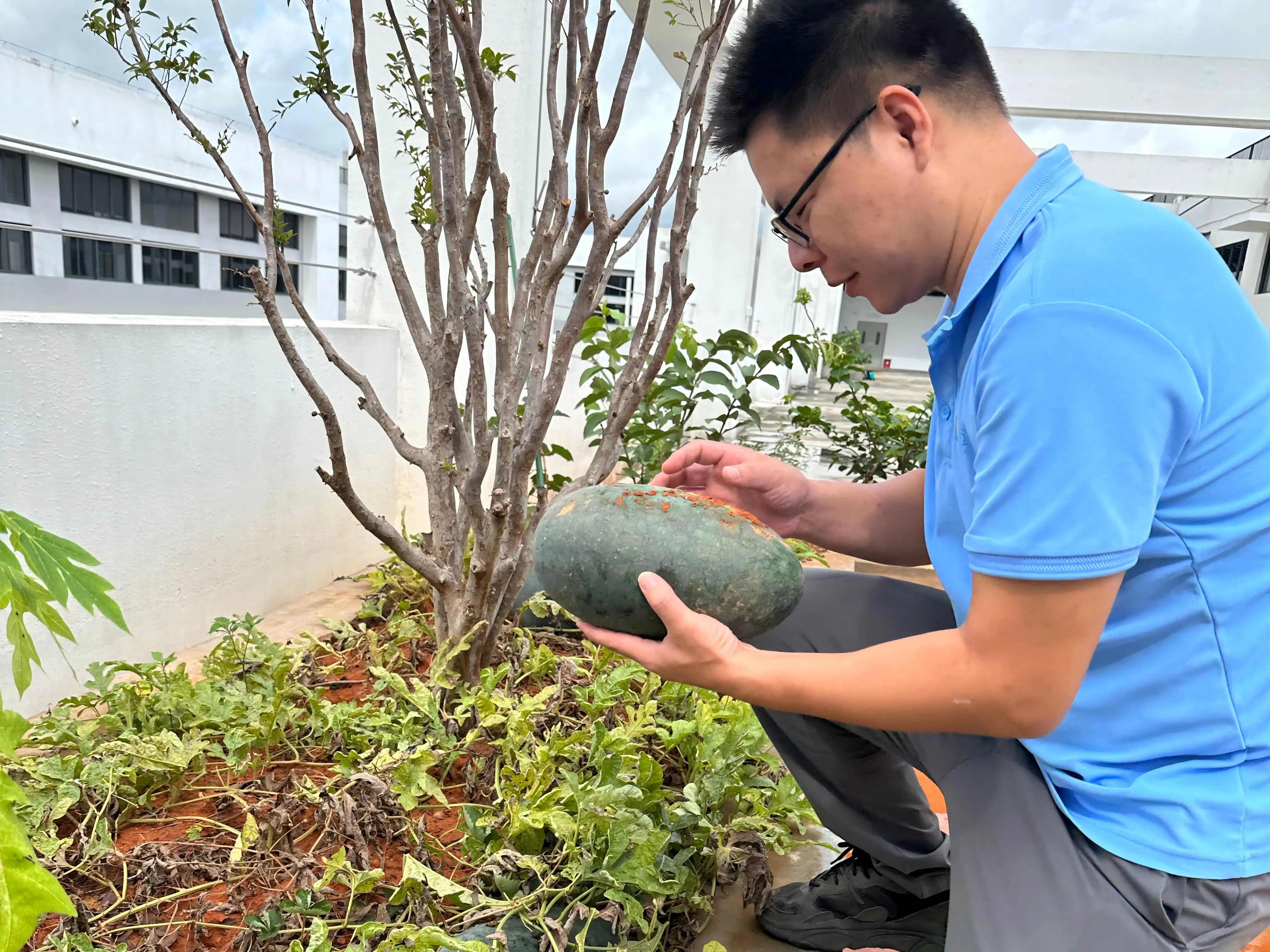 佛山微迈新场地的第一颗&ldquo;硕果&rdquo;，切开与伙伴们共享甜蜜