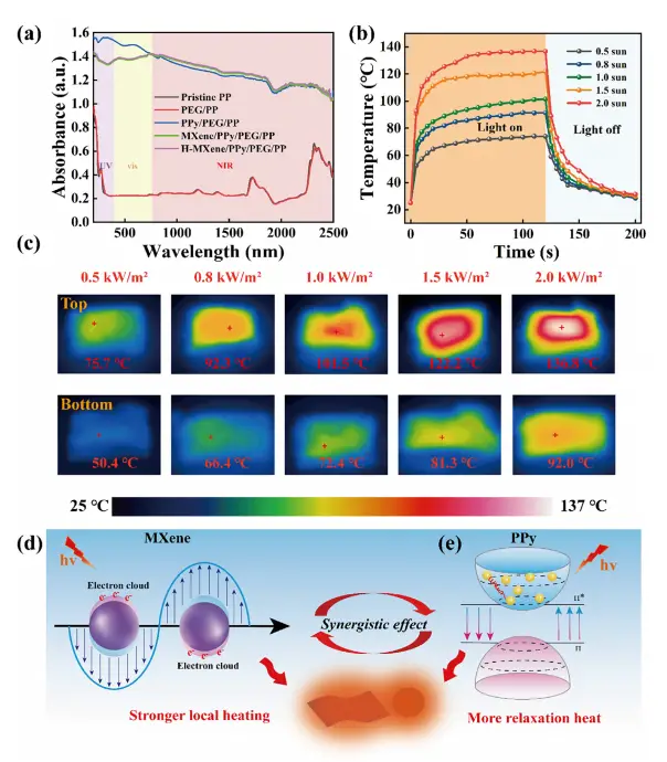 图5：纤维形貌与涂层演变SEM图像