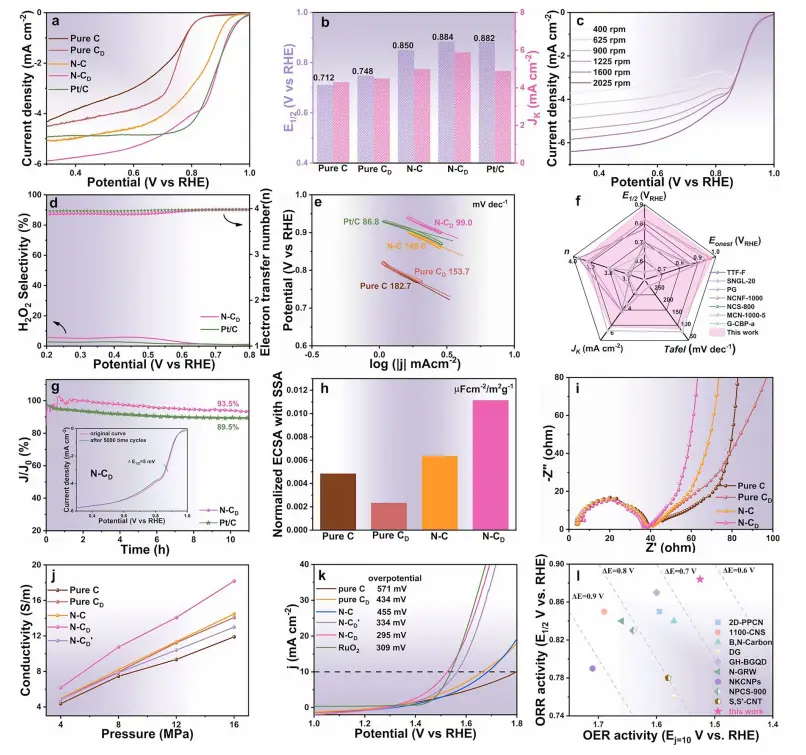 图3：卓越的双功能催化性能
