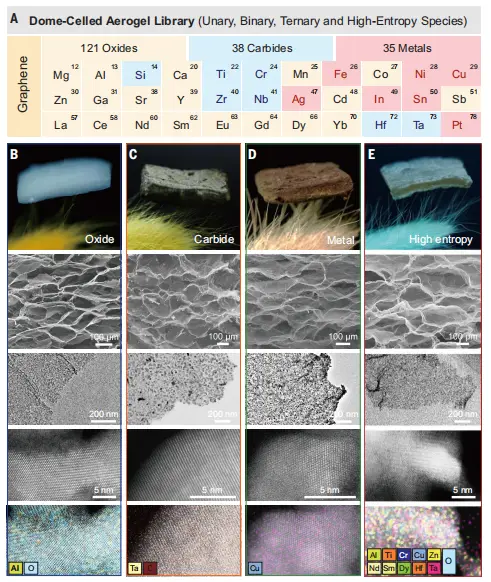 图2：成分多样性与微观结构