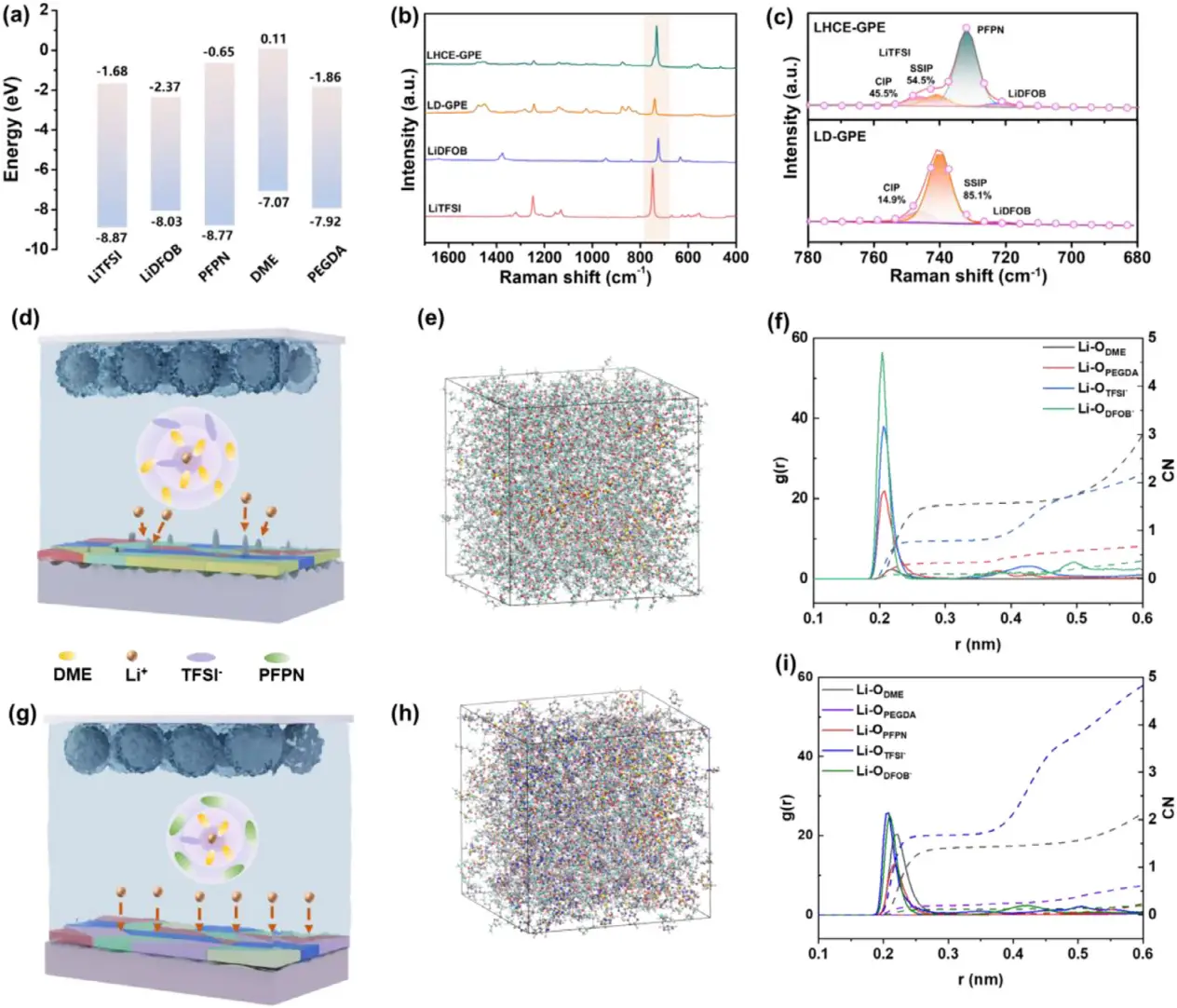 图1：溶剂化结构与电解质分子动力学分析
