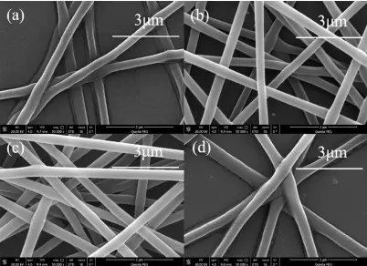 不同电压下PVA静电纺丝纳米纤维图