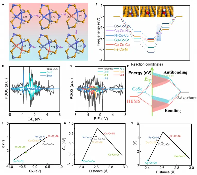 图6:DFT理论计算揭示不对称活性位点的作用机制